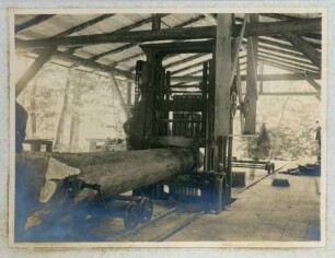 Foto des Sägewerks in Liebsdorf