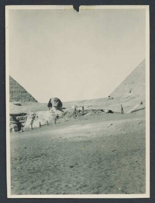 Die Sphinx. Im Hintergrund die Chefren und Mankaura Pyramide