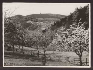 Lippische Schweiz. Detmold. Heiligenkirchen