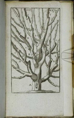 12e fig.