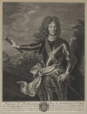 Bildnis des Francois de Montmorency