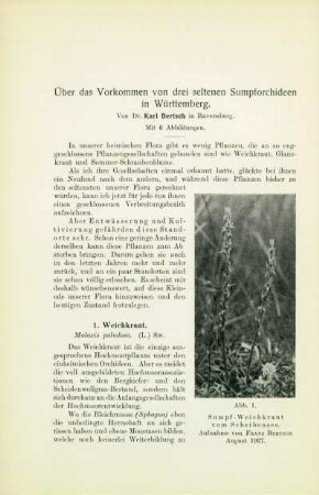 Über das Vorkommen von drei seltenen Sumpforchideen in Württemberg
