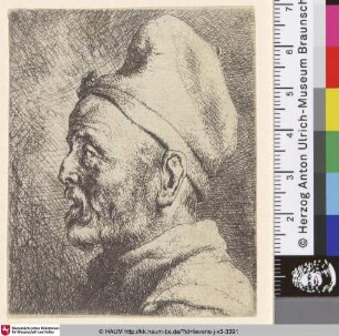 [Kopf eines alten Mannes, im Profil nach links; Head of an old man, in profile to the left]
