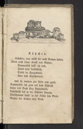 Kätzchen.