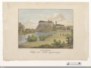 Schloss und Stadt Sigmaringen : Hohenzollern