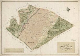 Topographischer Plan über den in das Oberamt Rastatt gehörigen Durmersheimer Bann