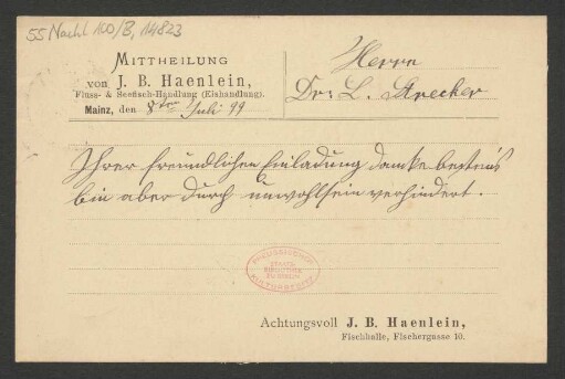 Brief an Ludwig Strecker <senior>, Mainzer Liedertafel und Damengesangverein : 08.07.1899