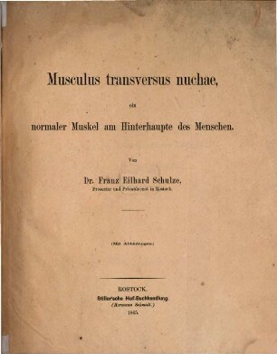 Musculus transversus nuchae, ein normaler Muskel am Hinterhaupte des Menschen : (Mit Abbildungen.)