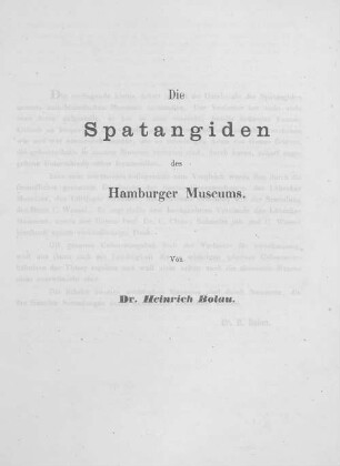Die Spatangiden des Hamburger Museums.