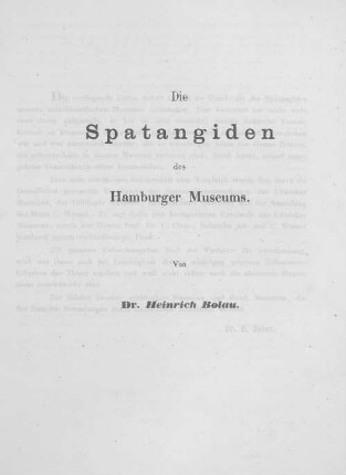 Die Spatangiden des Hamburger Museums.