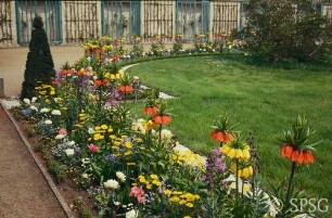 Potsdam, Park Sanssouci, Parterre Große Fontäne, Rabatte mit Blumenbepflanzung.