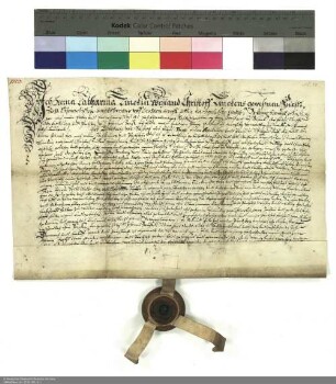 Bonifaz von Buseck, Kapitular zu Fulda und Propst von Johannesberg verleiht den Fronhof in Urspringen