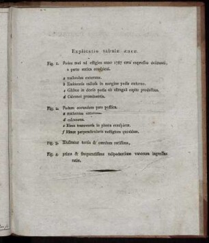 Explicatio tabulæ æneæ.