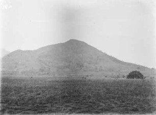 Landschaftsansicht : Grasfläche, die an einen Berg angrenzt