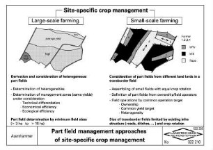 Part field management approaches of site-specific crop management