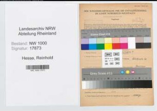 Entnazifizierung Reinhold Hesse, geb. 01.10.1903 (Kaufmann)