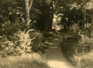 Waldweg