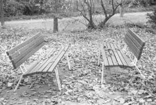 Herbststimmung im Schlossgarten
