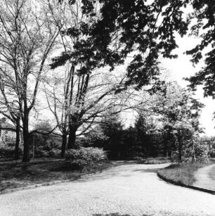 Cottbus-Spremberger Vorstadt. Eichenplatz. Blick nach Nordost