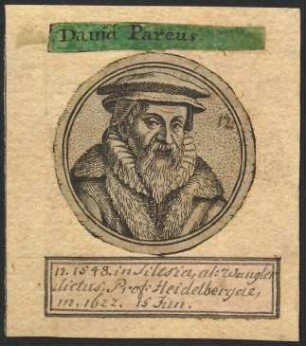 Daniel Pareus