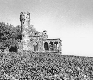 Burg Schwarzenstein; Geisenheim, Rosengasse 32, Rosengasse, Im oberen Vogelsand