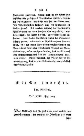¬Die¬ Spitzmorchel : Lat. Phallus ; Taf. XVIII, Fig. 124