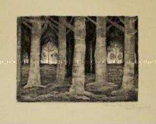 Waldestempel (Buchenstämme)