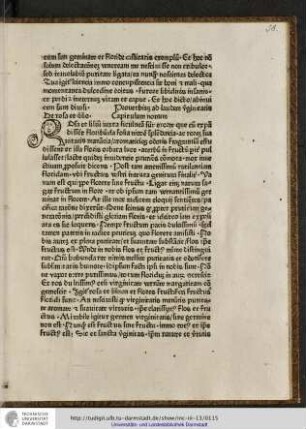Proverbium ad laudem virginitatis.