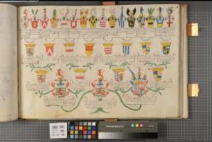 Proband: Heyden gen. Belderbusch, Caspar Anton von der; Vater: Heyden gen. Belderbusch, Maximilian Wilhelm von der; Mutter: Satzenhofen, Johanna Gräfin von: Westfalen, Hzgtm, Ritterschaft
