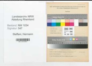 Entnazifizierung Hermann Steffani , geb. 28.08.1876 (Oberst)