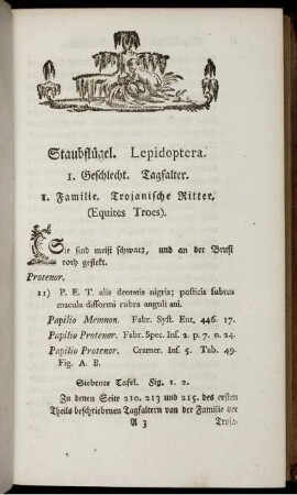 Staubflügel. Lepidoptera.