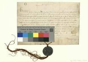 Papst Gregor [X.] nimmt das Kloster Chorin in seinen Schutz und bestätigt seine Besitzungen.