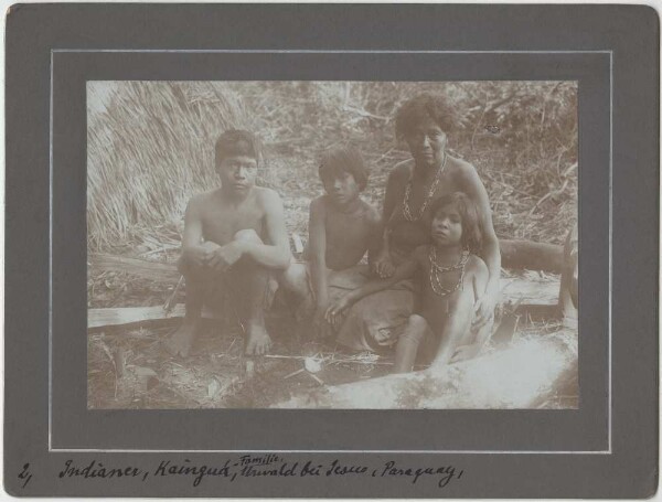 Kainguá family