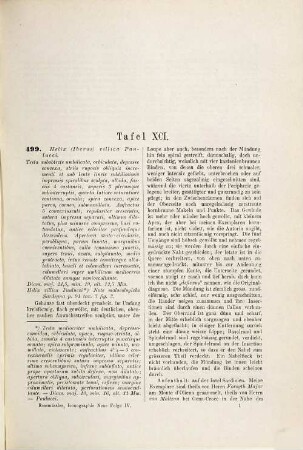 Iconographie der Land- und Süsswasser-Mollusken : mit vorzügl. Berücksichtigung d. europäischen noch nicht abgebildeten Arten. Textbd., NF, 4. 1890