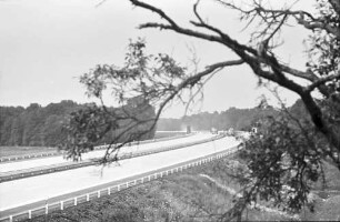 Freiburg-Mitte und -Nord: Durch Baumäste auf Autobahn zwischen Freiburg-Mitte und -Nord