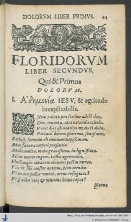 Liber Secundus: Dolorum Liber Primus