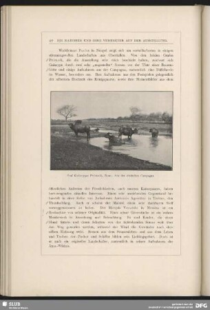 Aus der römischen Campagna