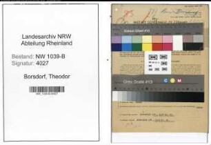 Entnazifizierung Theodor Borsdorf , geb. 11.11.1903 (Geschaeftsfuehrer)