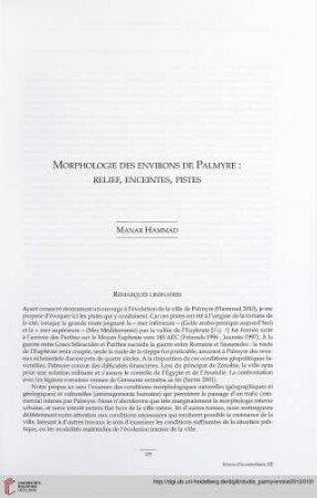 12: Morphologie des environs de Palmyre: relief, enceintes, pistes