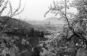 Blick auf Freiburg mit Schönberg durch die Blüten der Eichhalde mit rundem Blütenzweig im Bild