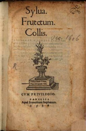 Silva, frutetum, collis