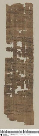 Griechisch-demotischer Papyrus mit einem Königseid des Hierogrammateus Thotmosis an Praktor Euphronios wegen Rückständen