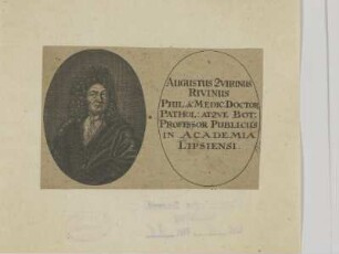 Bildnis des Augustus Qvirinus Rivinus