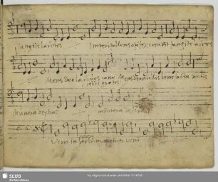 Speiser, Kasper: Veni in hortum meum