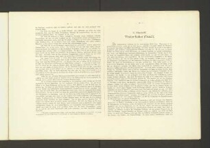 II. Abschnitt. Vorder-Indier (Tamil).