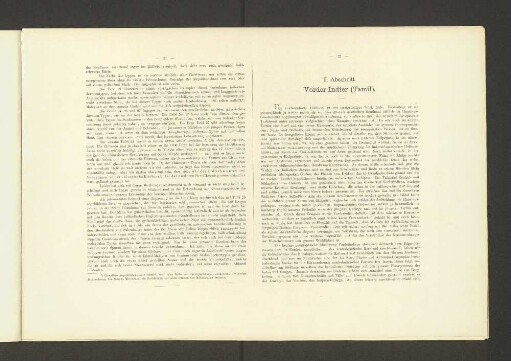 II. Abschnitt. Vorder-Indier (Tamil).