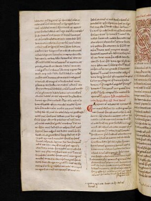 De baptismo, lib. 4, cap. 5 (Exzerpte)