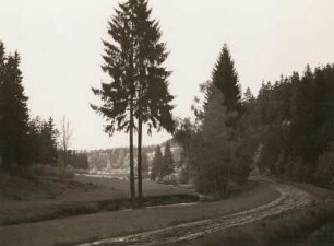 Tal der Großen Striegis. Mühlgraben unterhalb Zechendorf