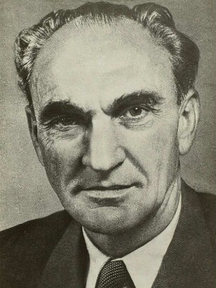 Rau, Heinrich