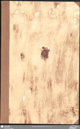 Corno di caccia.